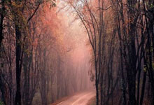 旺财28：日本男足作出决定！国足印尼2选1，世界杯晋级概率大增.