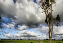 旺财28：意甲：亚特兰大同尤文图斯打成平手.