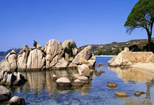 旺财28：姜积弘：很高兴回到广州，感觉非常亲切就像回家了一样.